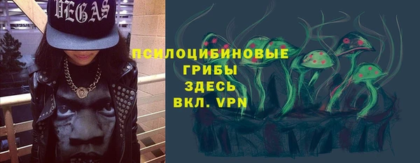 амф Переславль-Залесский
