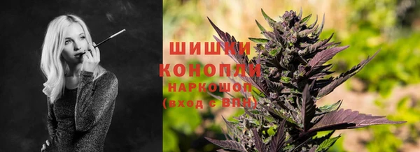 шишки Пестово
