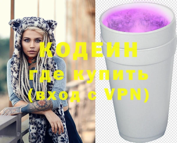 шишки Пестово