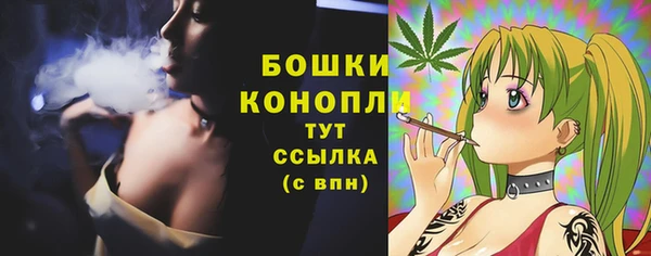 амф Переславль-Залесский