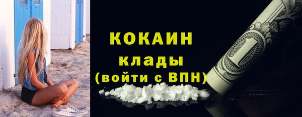 шишки Пестово