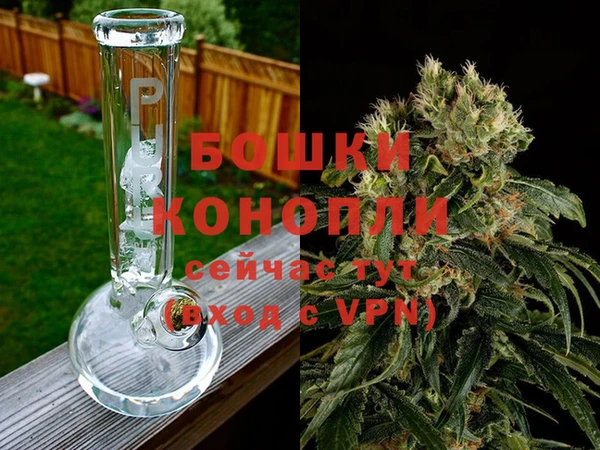 шишки Пестово