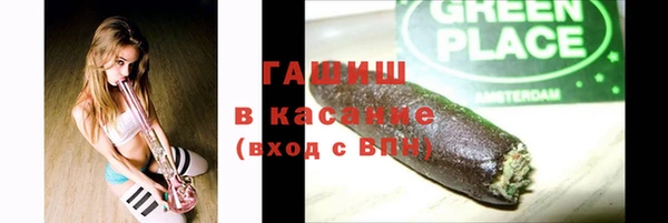 шишки Пестово