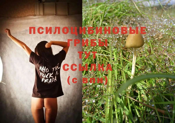 MDMA Premium VHQ Пересвет