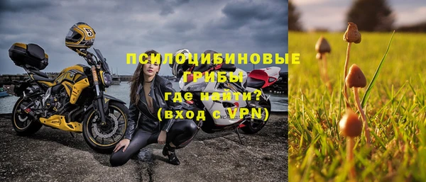 амф Переславль-Залесский