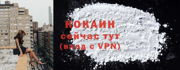 шишки Пестово