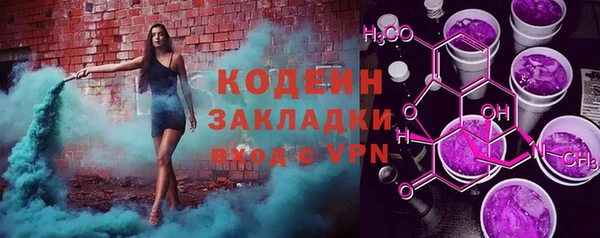 шишки Пестово