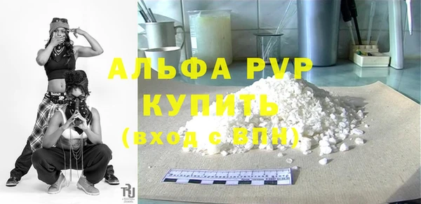 шишки Пестово