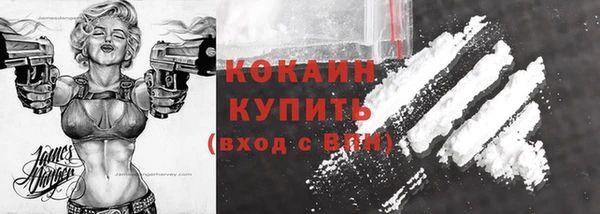 шишки Пестово