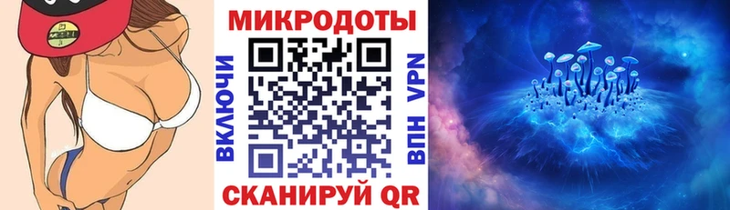 где купить наркоту  Челябинск  Галлюциногенные грибы Psilocybe 