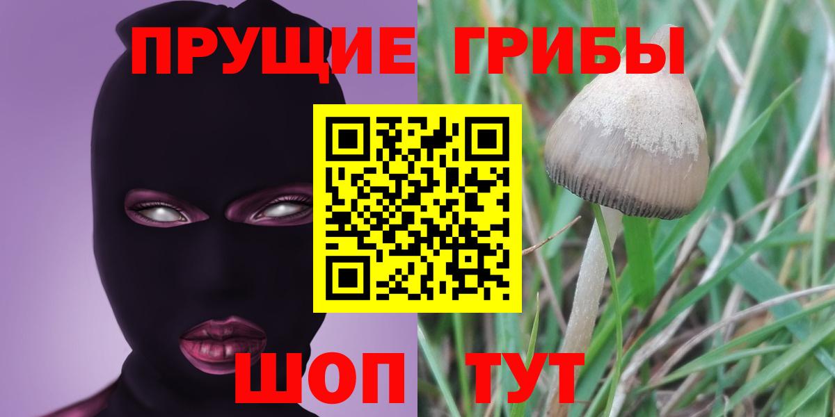 Галлюциногенные грибы Cubensis  Вход с VPN  Челябинск  Псилоцибиновые грибы мухоморы 